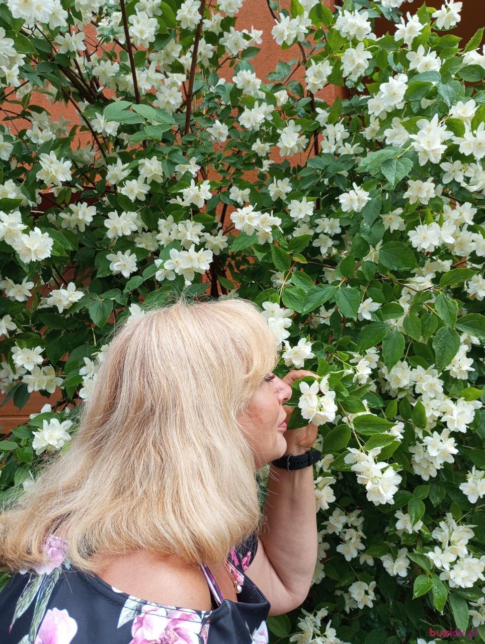 renata, Female, 64, Pionki, Polska, Photo: 3