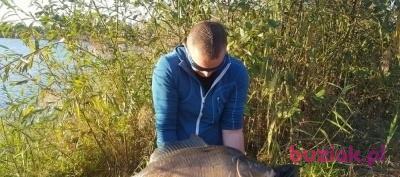 Michał, Mężczyzna, 37, Wrocław, Polska, Zdjęcie: 2