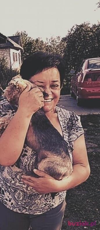 Irena, Kobieta, 61, Gdańsk, Polska, Zdjęcie: 3