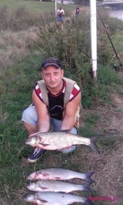 Krzysztof, Male, 43, Wrocław, Polska, Photo: 4