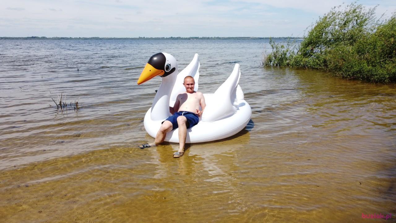 Michał, Mężczyzna, 37, Zgierz, Polska, Zdjęcie: 383