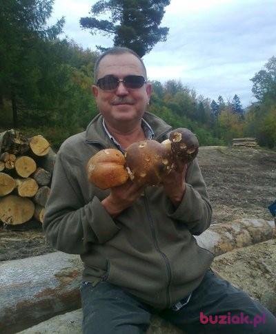 jacek102, Male, 65, Bielsko-Biała, Polska, Photo: 3