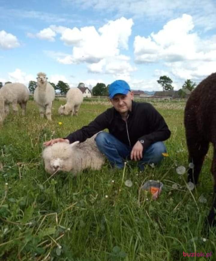 Grzesiek, Male, 40, Kłodzko, Polska, Photo: 2