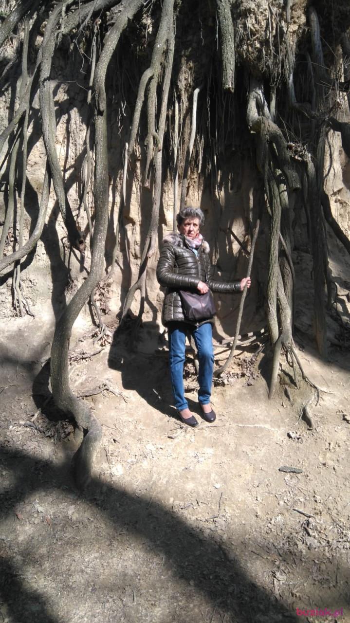 mieczysława, Female, 72, Kraków, Polska, Photo: 2