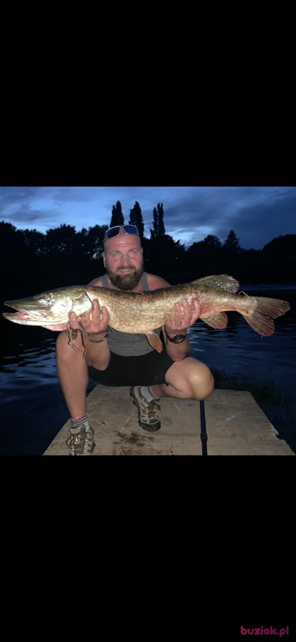 Ric, Male, 44, Birmingham, Wielka Brytania, Photo: 4