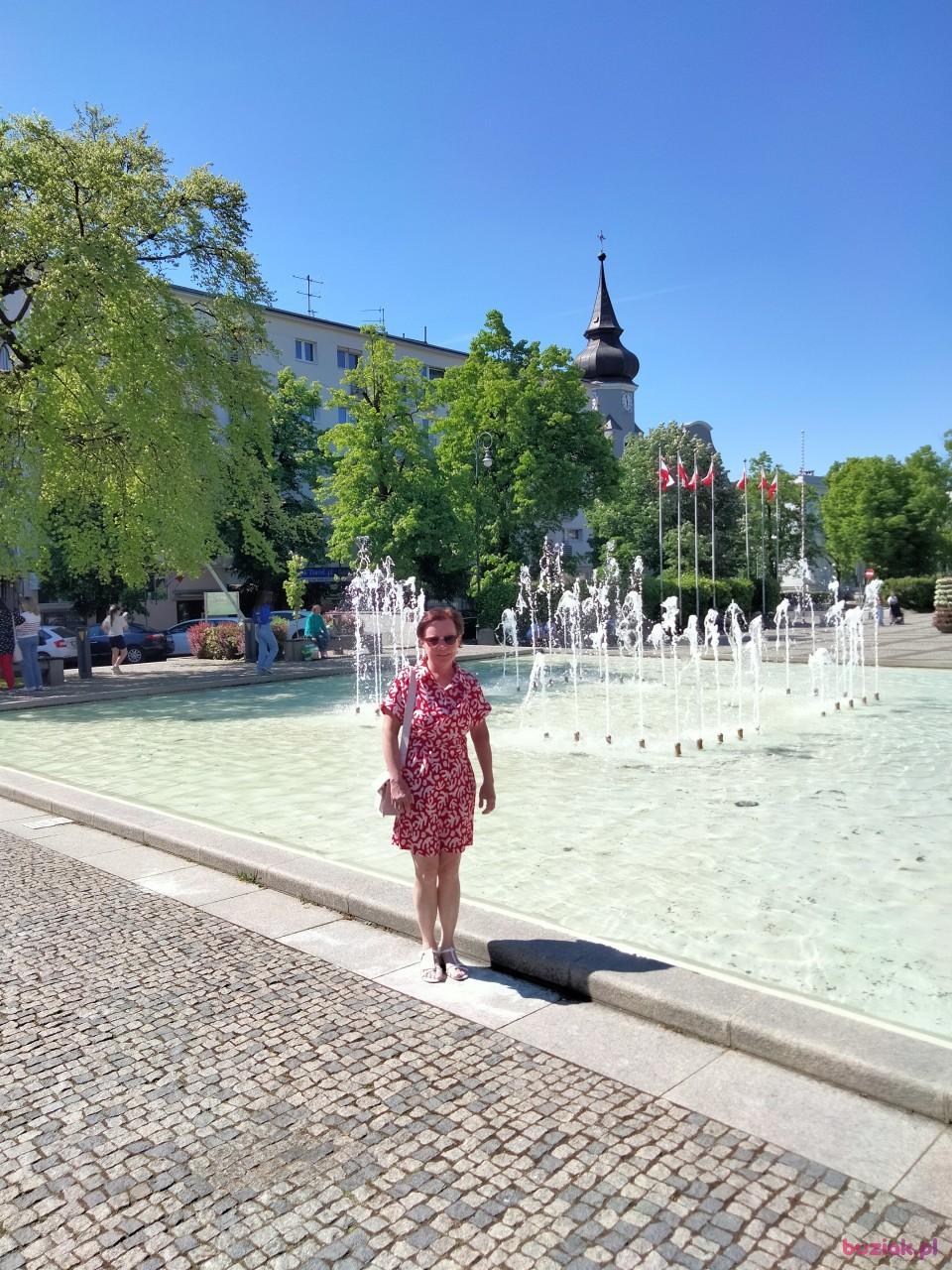 Anna, Kobieta, 53, Zielona Góra, Polska, Zdjęcie: 4