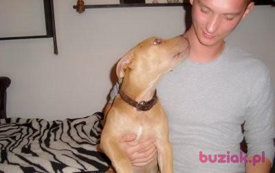 Piotrek, Male, 40, Wielka Brytania, Photo: 3
