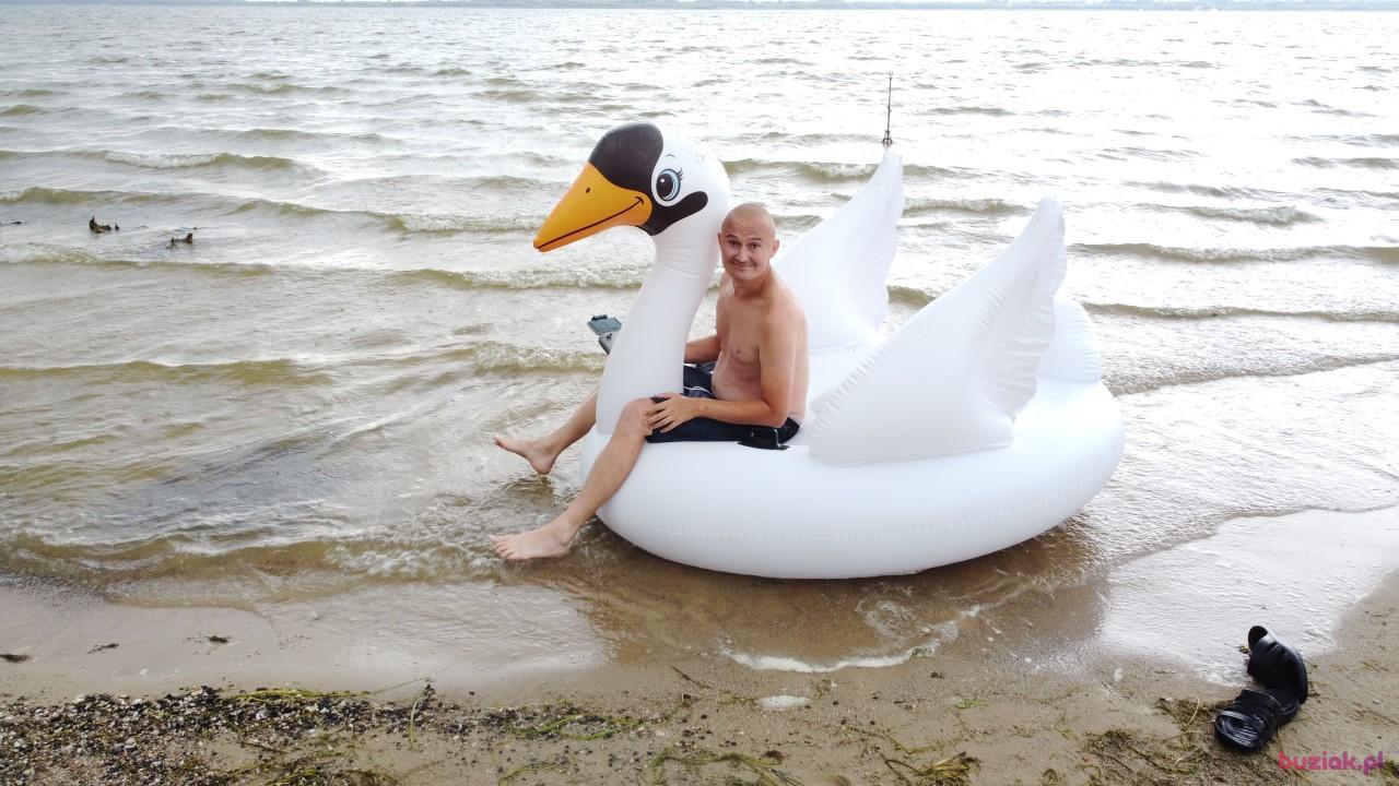 Michał, Mężczyzna, 37, Zgierz, Polska, Zdjęcie: 523