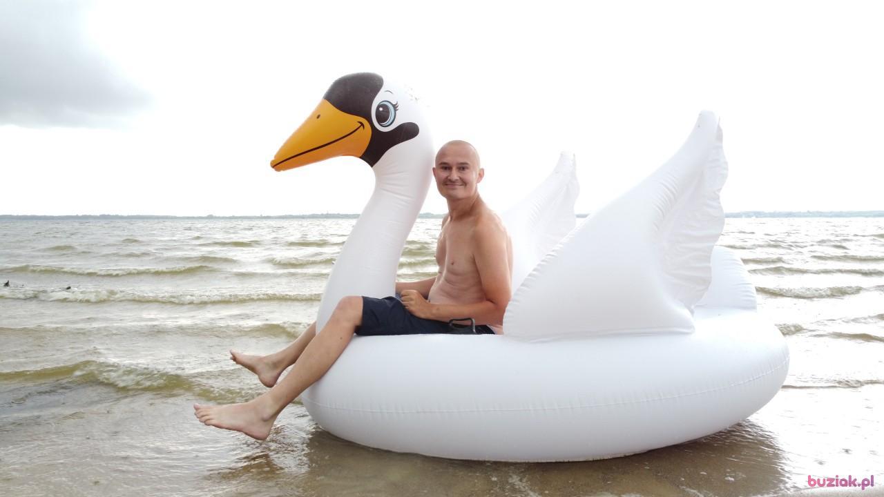 Michał, Mężczyzna, 37, Zgierz, Polska, Zdjęcie: 525