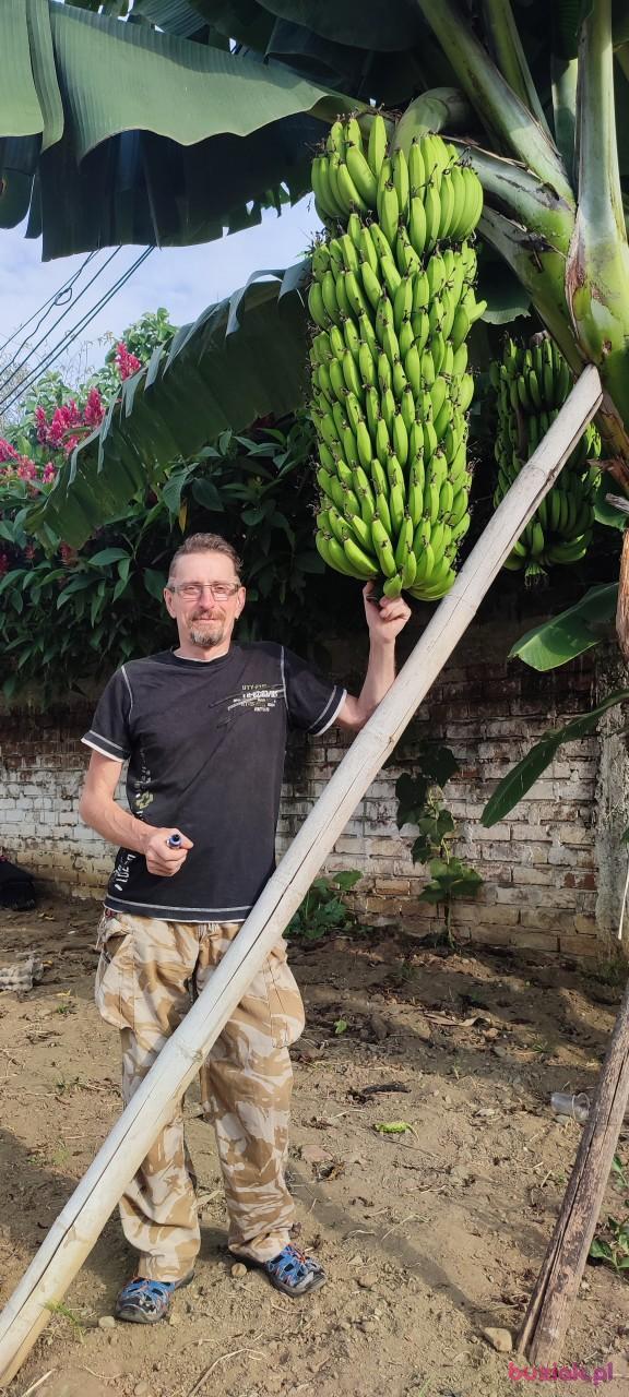 Tad, Male, 52, Wrocław, Polska, Photo: 3