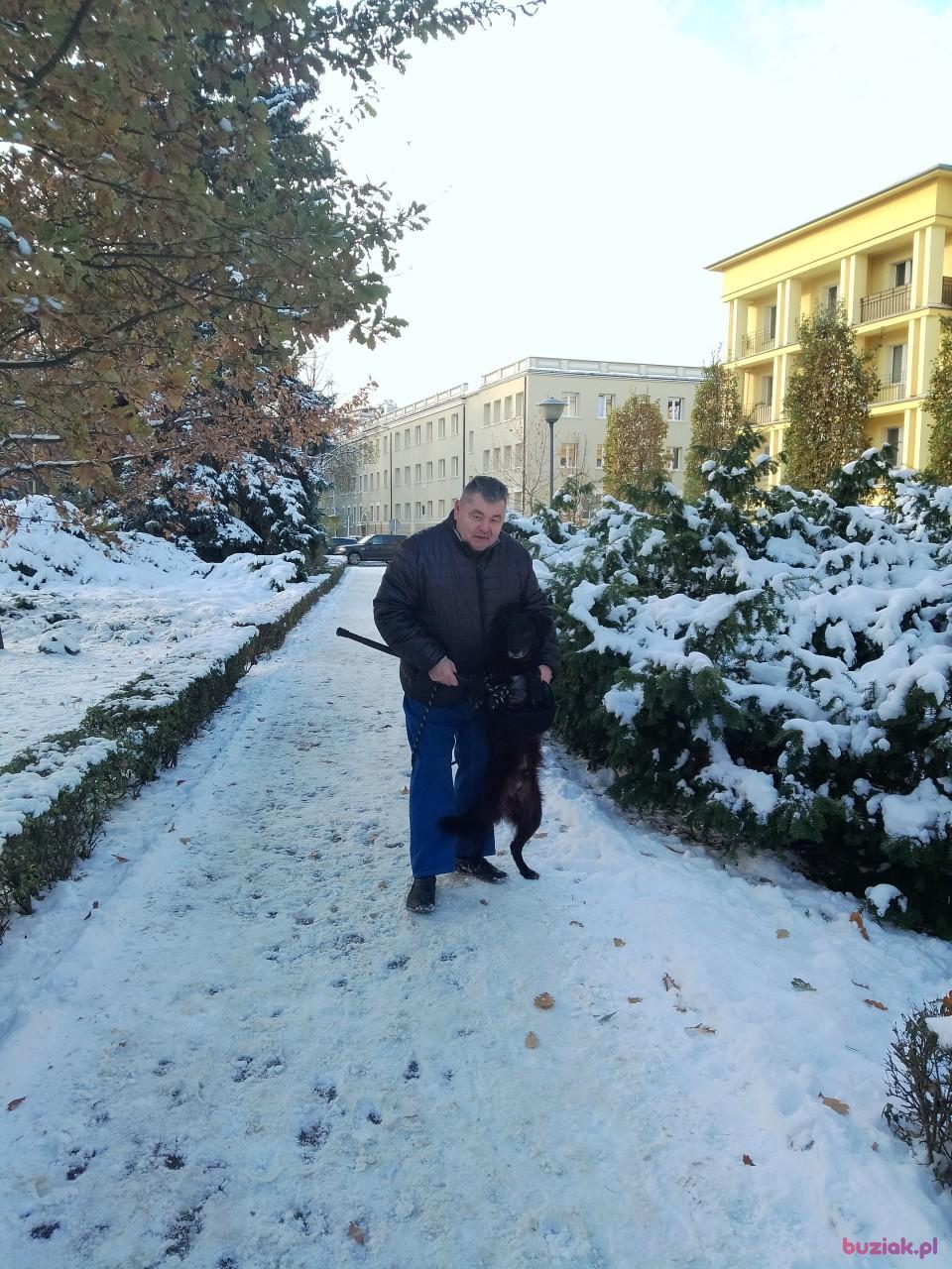 Grzegorz, Mężczyzna, 66, Rzeszów, Polska, Zdjęcie: 6