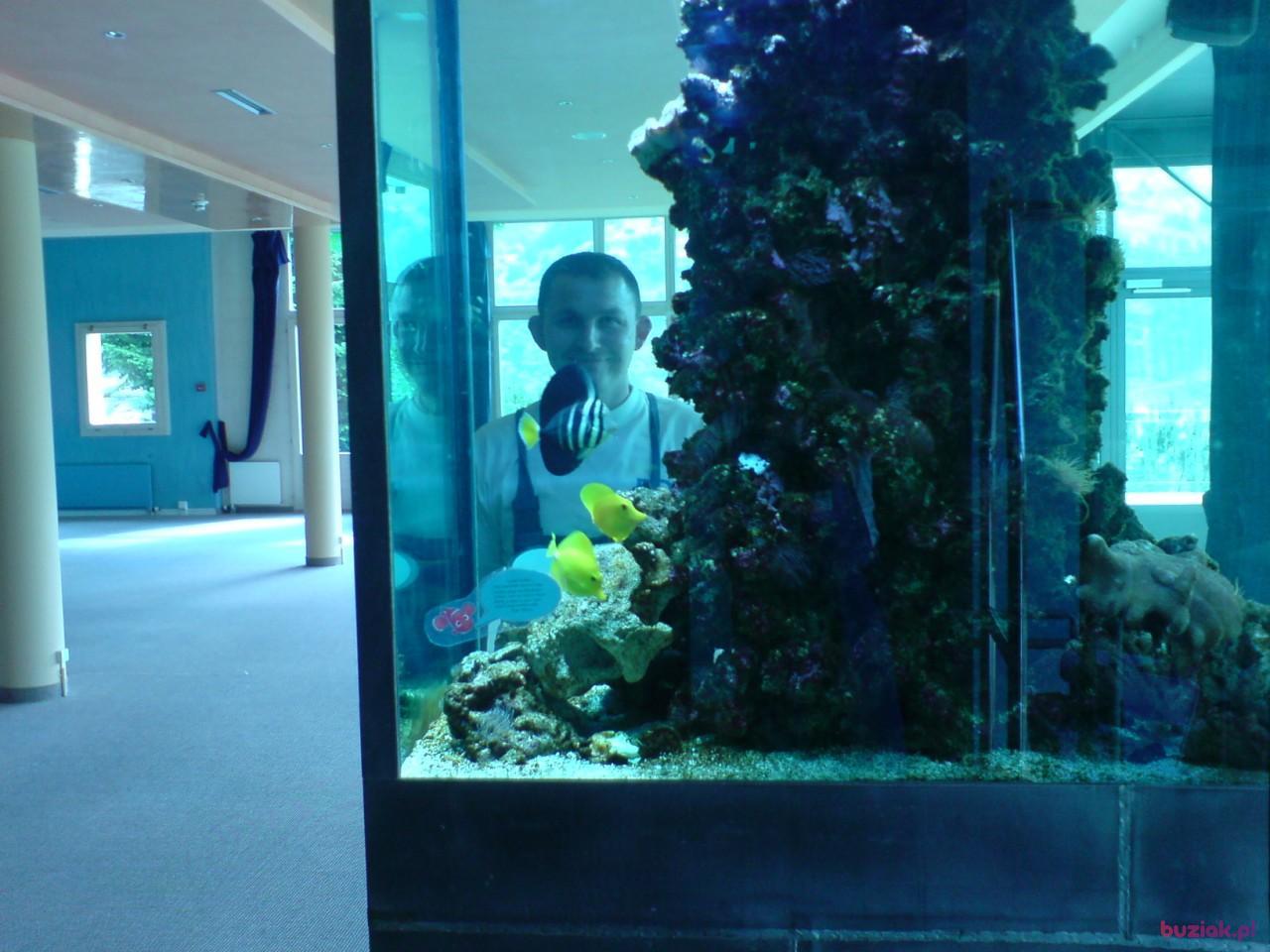 Mariusz, Male, 53, Buhl, Niemcy, Photo: 2