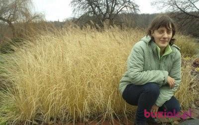 Grażyna, Female, 43, Siemianowice Śląskie, Polska, Photo: 1