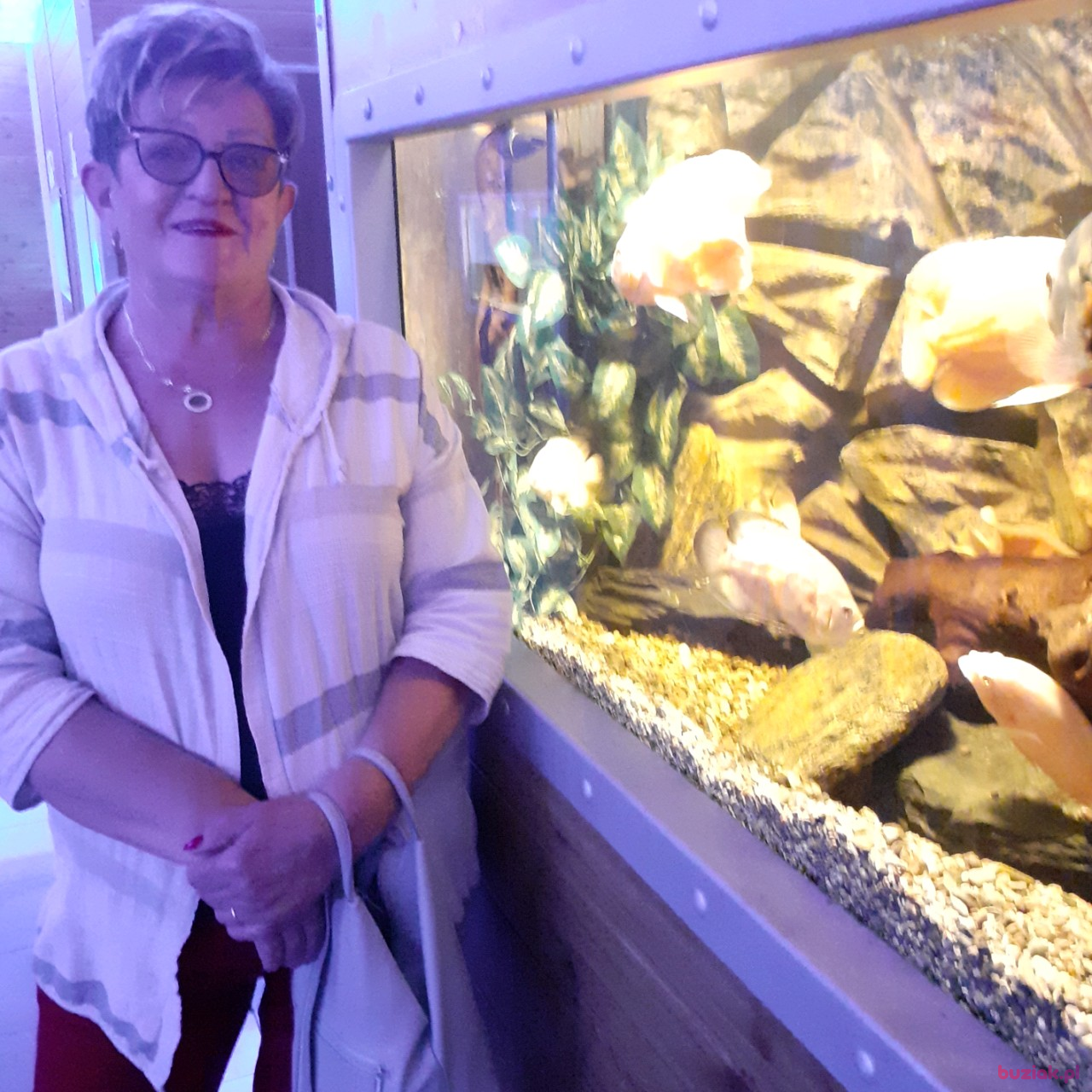 Ela, Female, 68, Legnica, Polska, Photo: 1