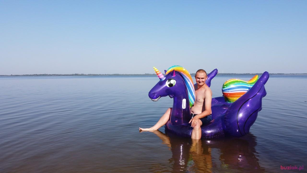 Michał, Mężczyzna, 37, Zgierz, Polska, Zdjęcie: 594