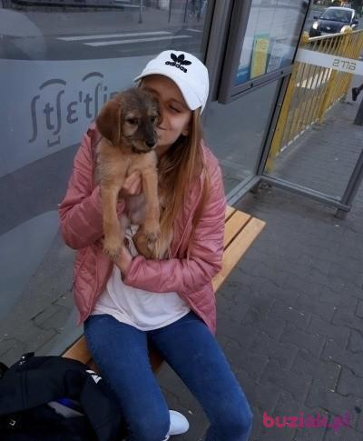 Madzixx1, Kobieta, 26, Szczecin, Polska, Zdjęcie: 3