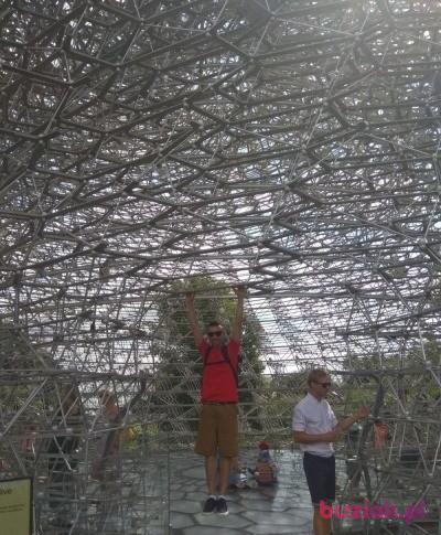 Rafal, Male, 37, Wielka Brytania, Photo: 4
