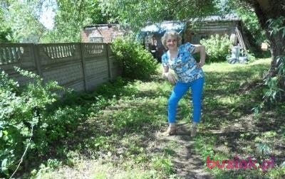 Zofia, Female, 79, Goleniów, Polska, Photo: 6