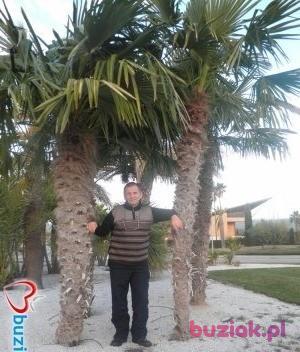 Stanisław, Male, 69, Legnica, Polska, Photo: 4