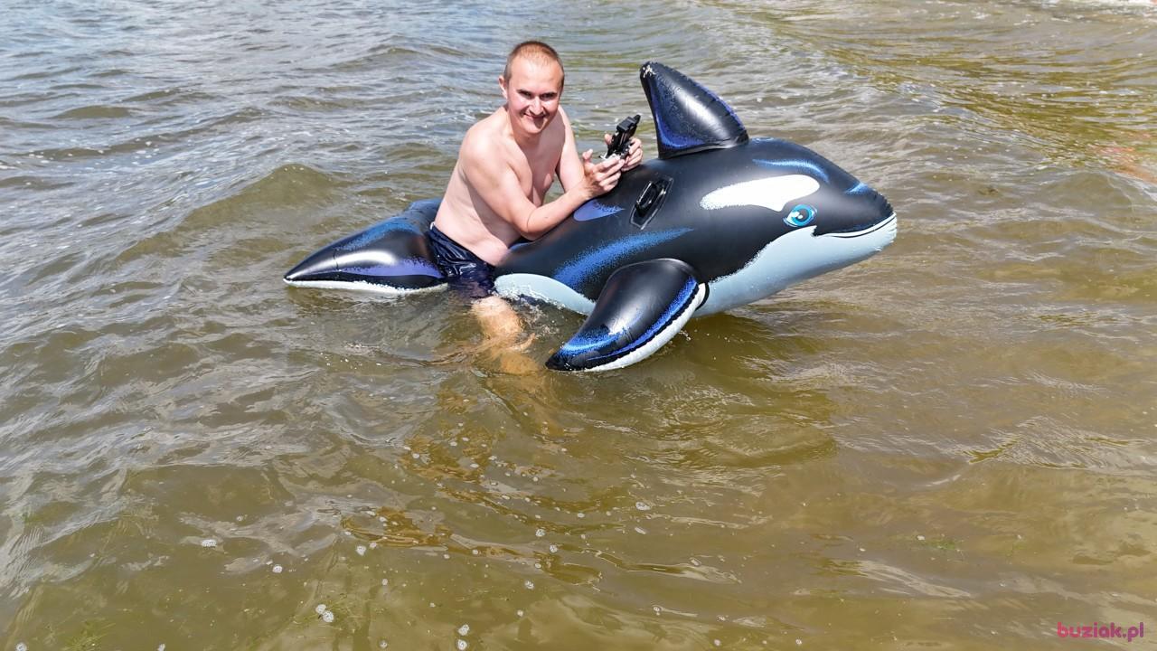 Michał, Mężczyzna, 37, Zgierz, Polska, Zdjęcie: 727