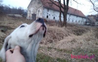 Łukasz, Male, 42, Holandia, Photo: 2