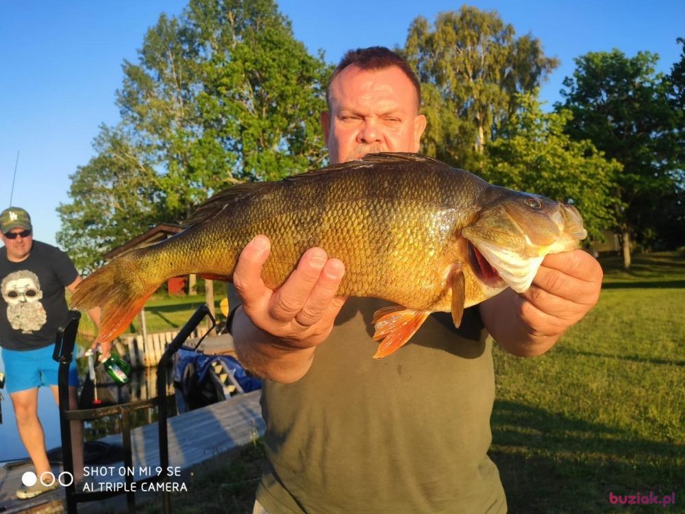 Zarzycki1, Male, 46, Wałbrzych, Polska, Photo: 2