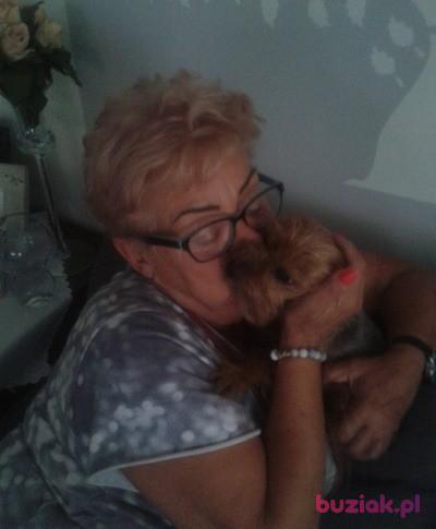 Anna, Female, 77, Warszawa, Polska, Photo: 2