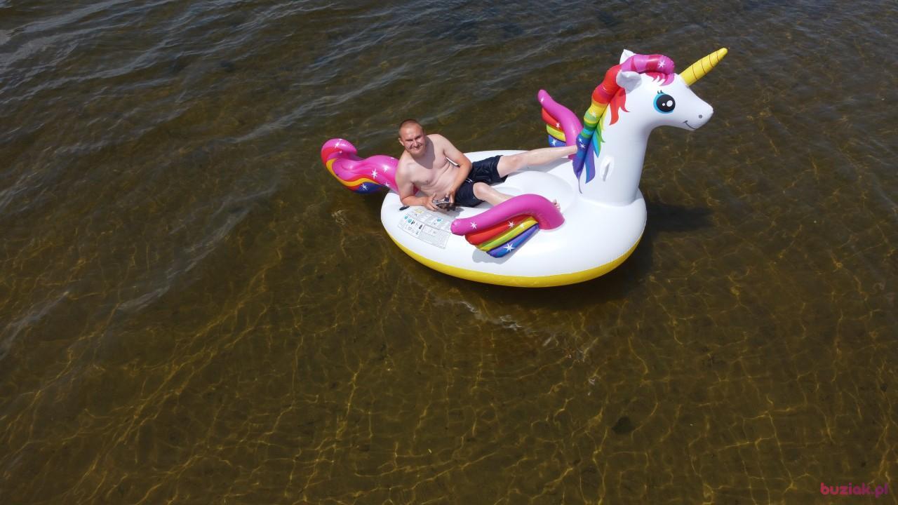 Michał, Mężczyzna, 37, Zgierz, Polska, Zdjęcie: 425