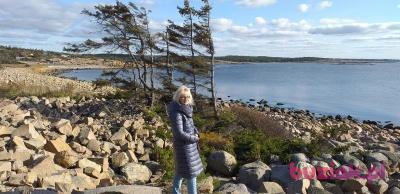 Maria, Female, 69, Łódź, Polska, Photo: 2