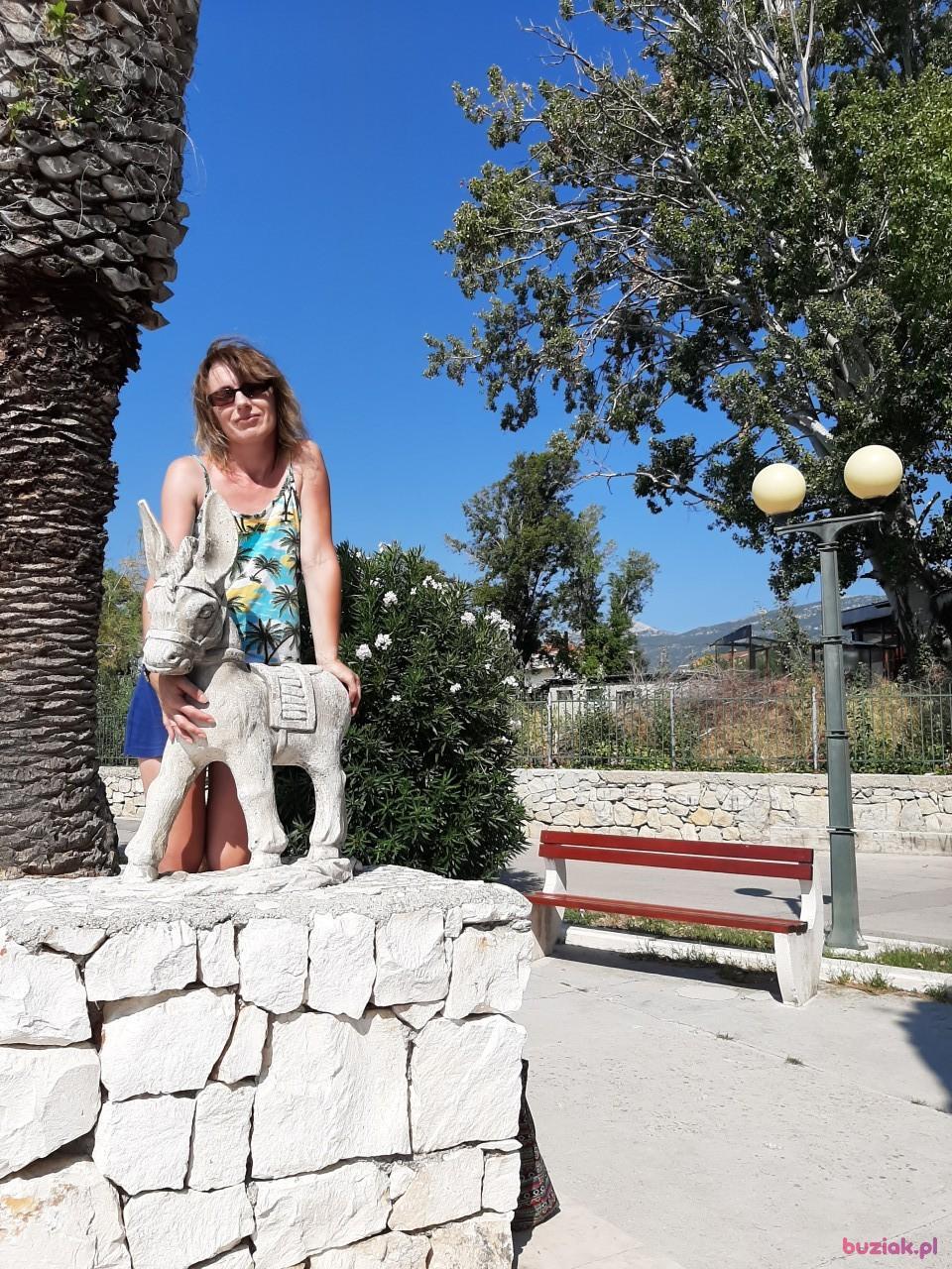 Aleksandra001, Kobieta, 46, Rybnik, Polska, Zdjęcie: 3