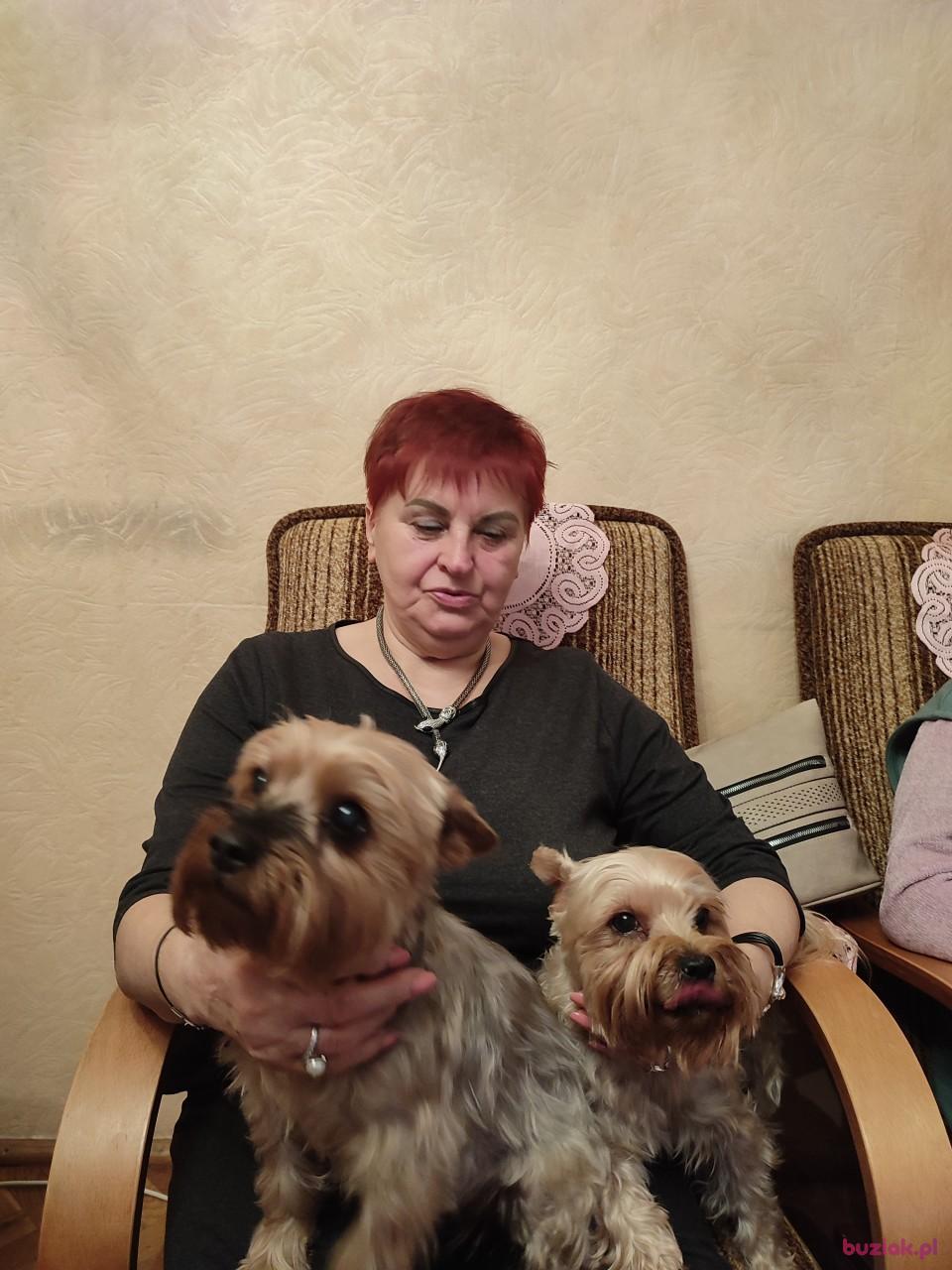 TERESA, Female, 78, Warszawa, Polska, Photo: 2