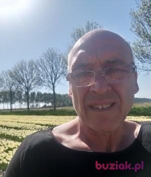 Janusz, Male, 65, Rotterdam, Holandia, Photo: 5