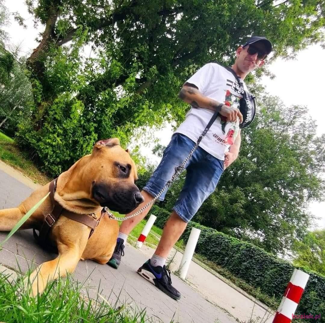 Michał, Male, 33, Skierniewice, Polska, Photo: 2