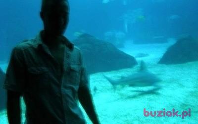 Dawid , Male, 39, Niemcy, Photo: 7