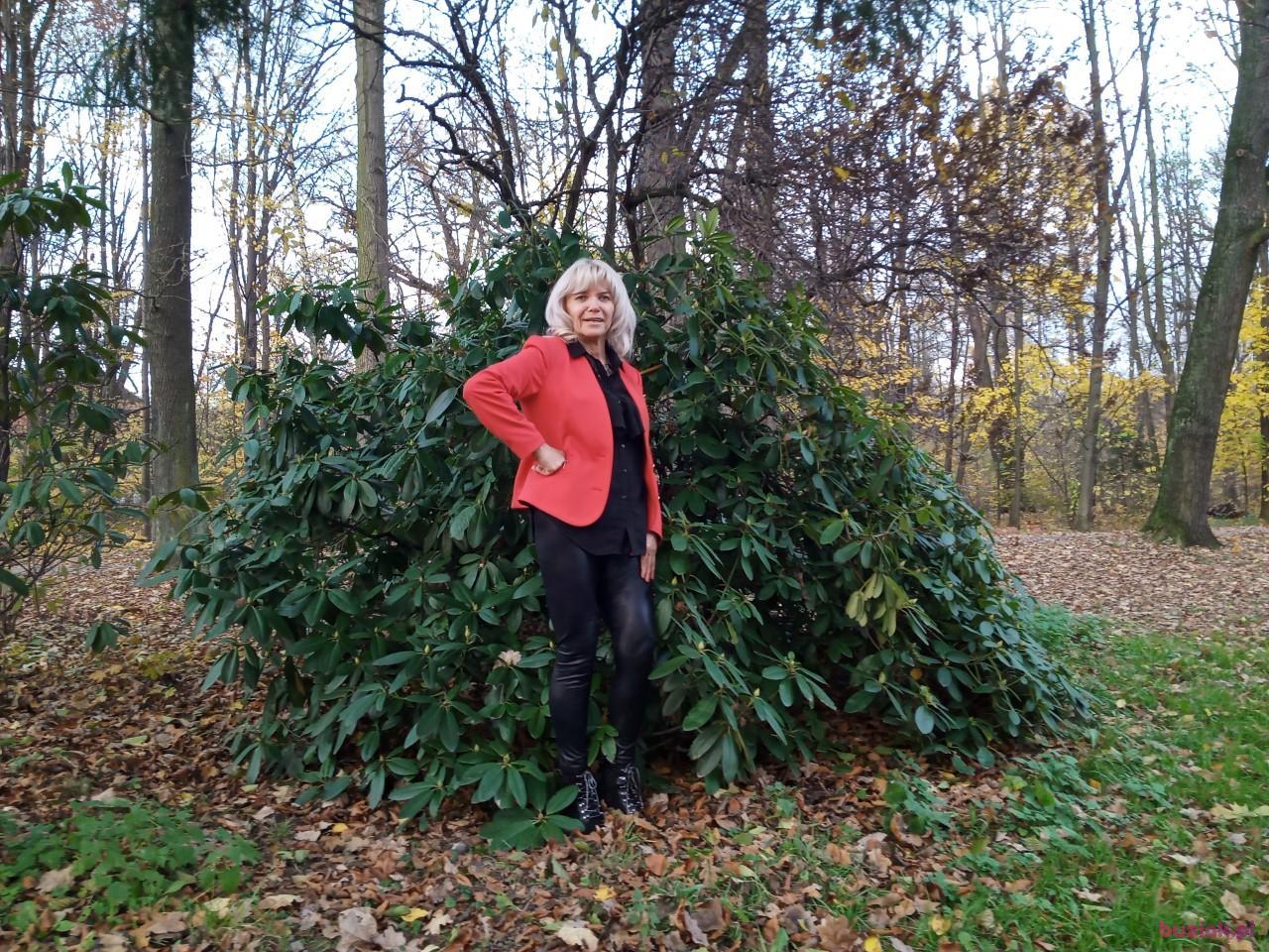 Ulcia, Female, 64, Bielsko-Biała, Polska, Photo: 14