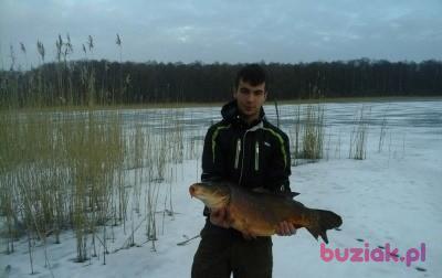 Patryk, Male, 26, Witkowo, Polska, Photo: 3