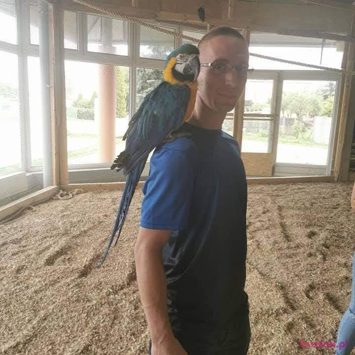 Czarek, Male, 33, Bydgoszcz, Polska, Photo: 1