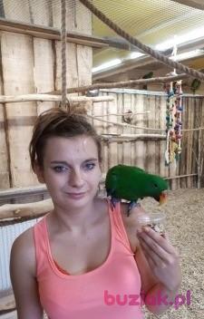 Patrycja , Kobieta, 31, Gdańsk, Polska, Zdjęcie: 1