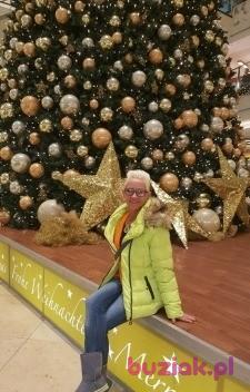 Grazka, Kobieta, 66, Legnica, Polska, Zdjęcie: 11