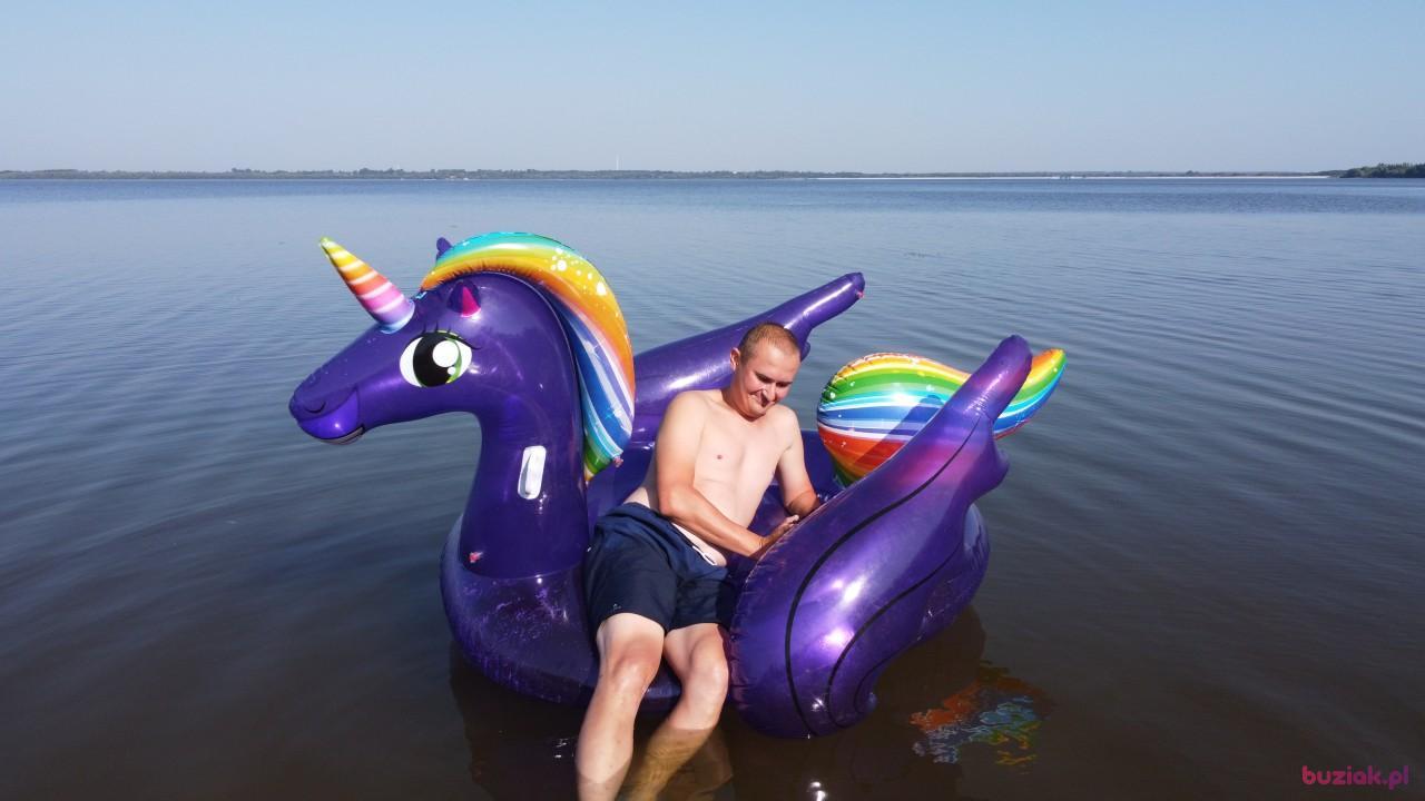 Michał, Mężczyzna, 37, Zgierz, Polska, Zdjęcie: 615