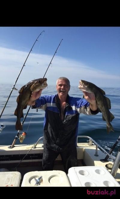 Jurek631, Male, 62, Antwerpia, Belgia, Photo: 2