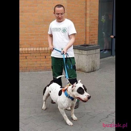 ticaey, Male, 37, Gorzów Wielkopolski, Polska, Photo: 4