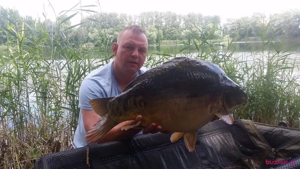 Mateusz, Mężczyzna, 37, Rakoniewice, Polska, Zdjęcie: 2