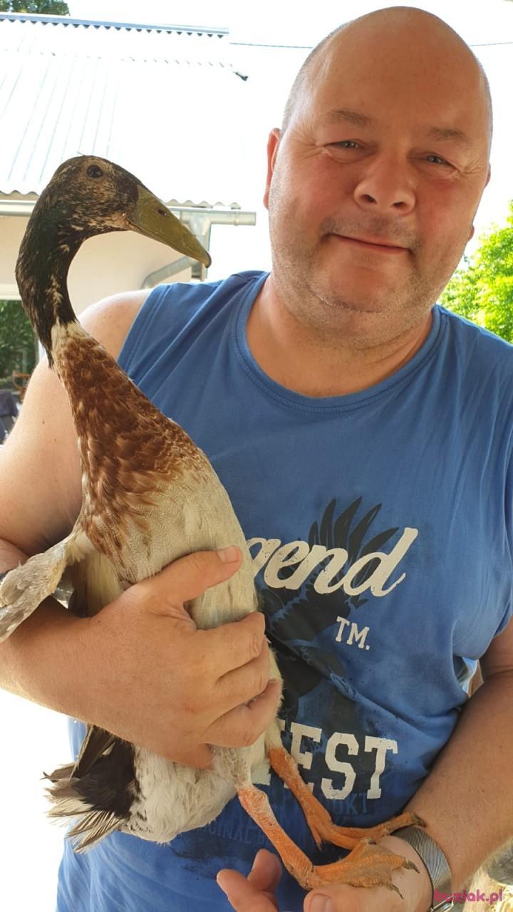 piotr, Mężczyzna, 55, Gryfów Śląski, Polska, Zdjęcie: 2