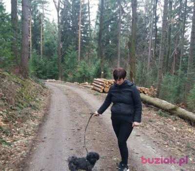 Anna, Kobieta, 52, Polska, Zdjęcie: 3