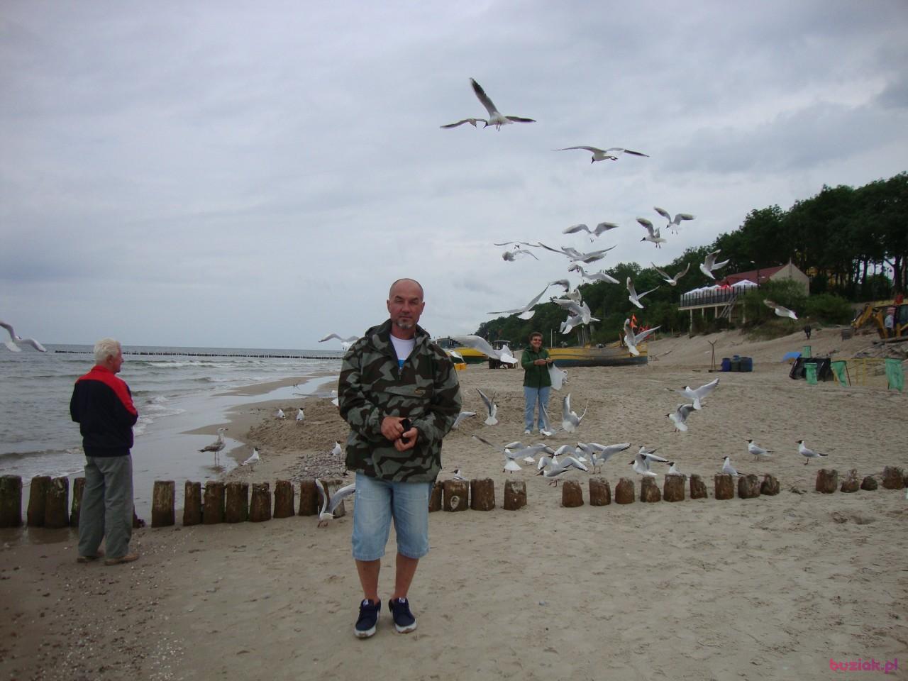 wieslaw, Mężczyzna, 64, Hannover, Niemcy, Zdjęcie: 2