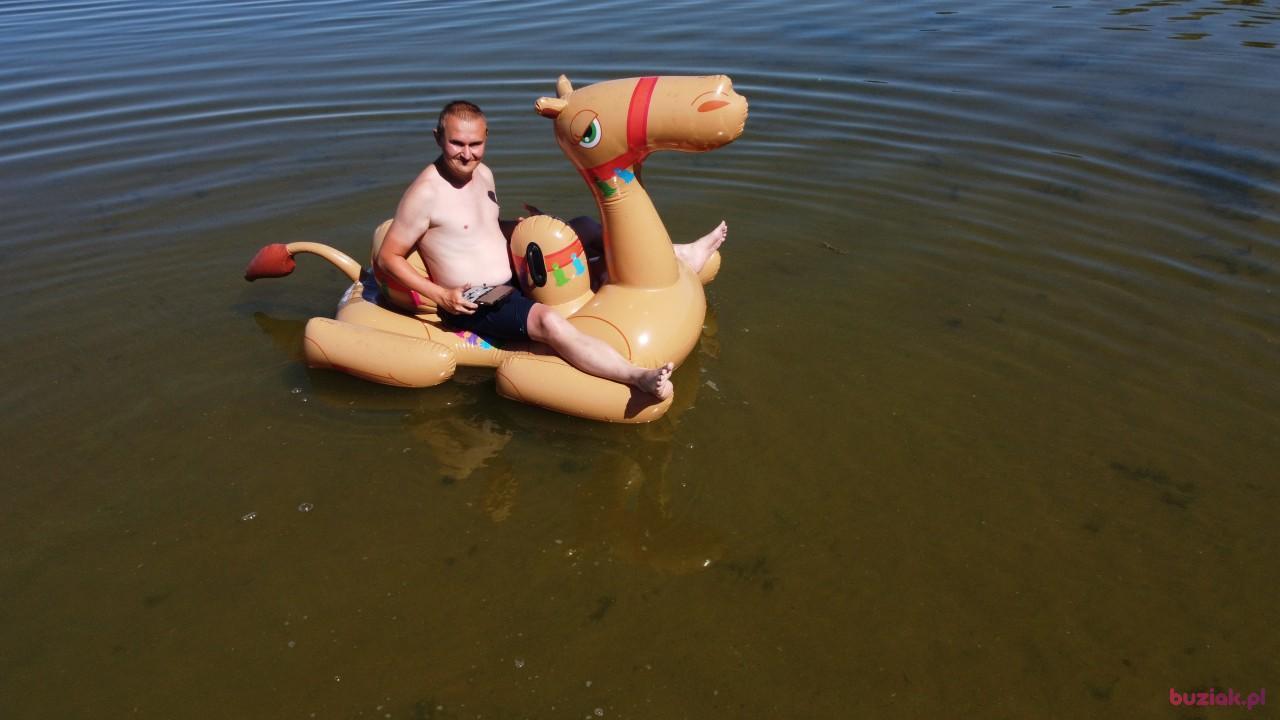 Michał, Mężczyzna, 37, Zgierz, Polska, Zdjęcie: 476