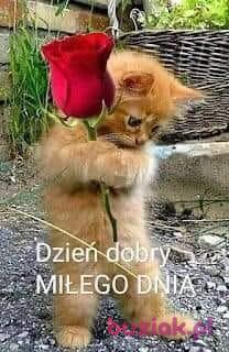 Krzysztof, Male, 52, Crosby, Wielka Brytania, Photo: 2
