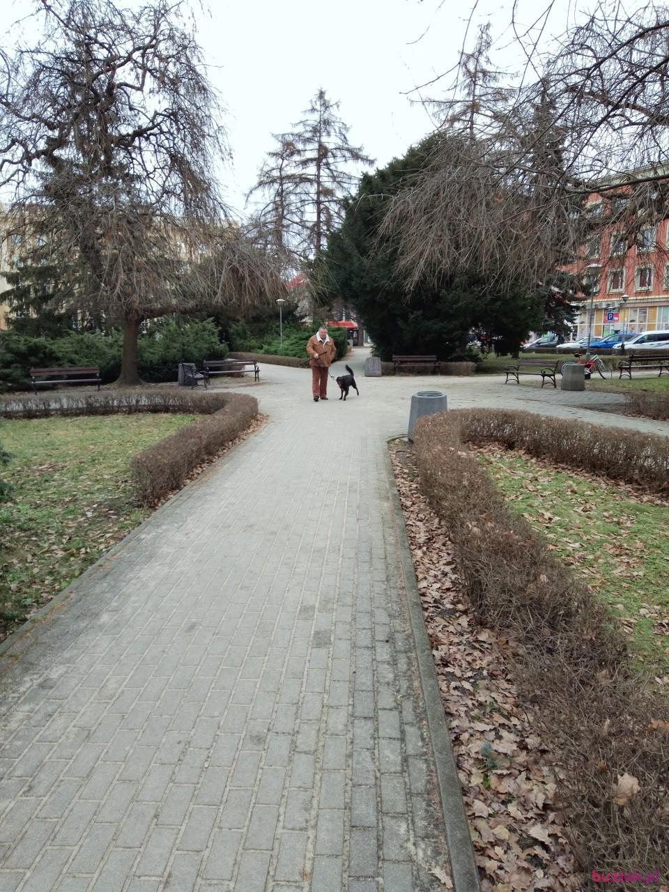 Grzegorz, Mężczyzna, 66, Rzeszów, Polska, Zdjęcie: 8