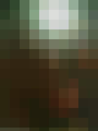 konrad, Male, 41, Holandia, Photo: 2